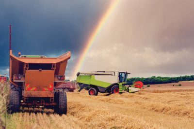 A harvest like no other